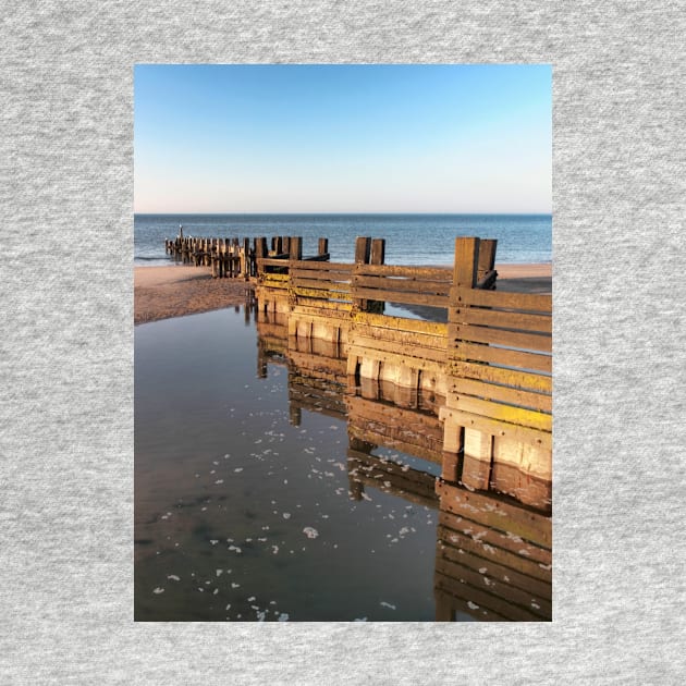 Norfolk groyne by avrilharris